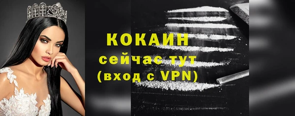 герыч Мегион