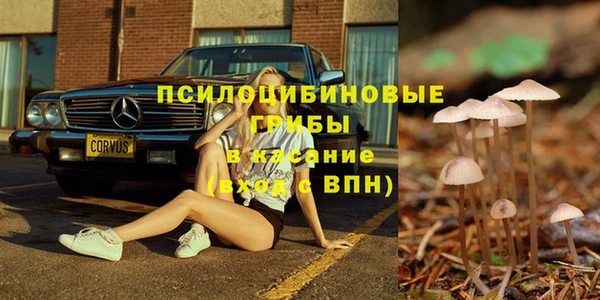 мескалин Медногорск