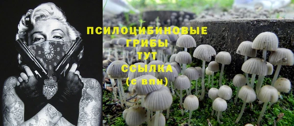 мескалин Медногорск