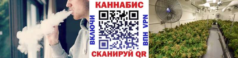 МАРИХУАНА сатива  Салехард 